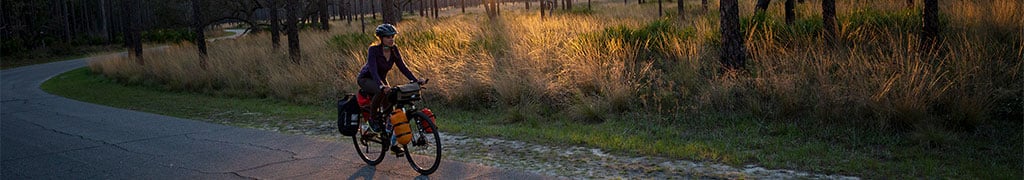 2016 orbea avant